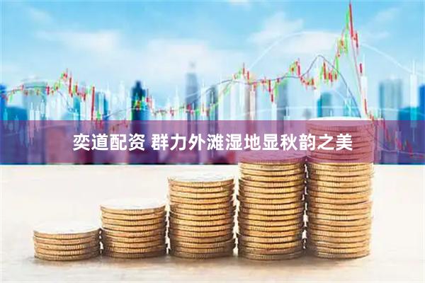 奕道配资 群力外滩湿地显秋韵之美
