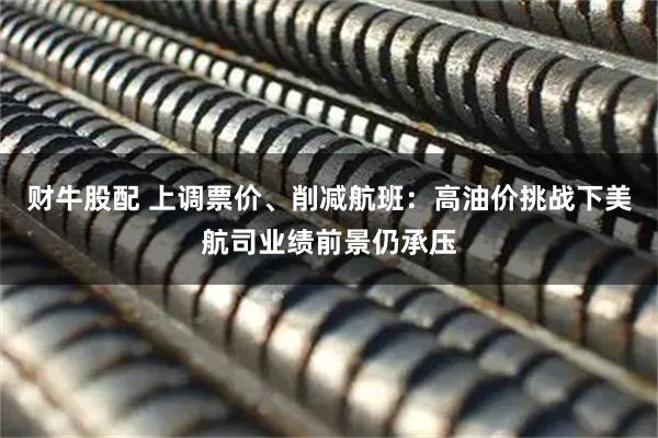 财牛股配 上调票价、削减航班：高油价挑战下美航司业绩前景仍承压